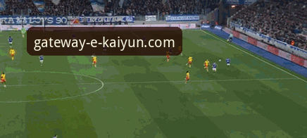 3个关键视角：从帕尼切利重伤看开云体育平台如何深度解析赛事动态